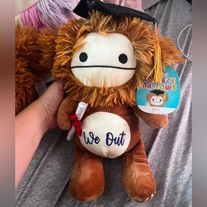 Benny graduation squishmallow